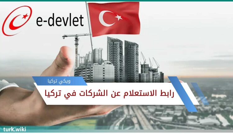 رابط الاستعلام عن الشركات في تركيا من اي دولات
