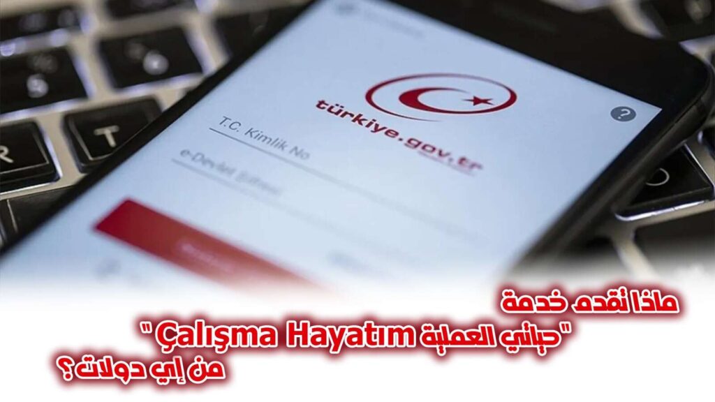 حياتي العملية Çalışma Hayatım من إي دولات