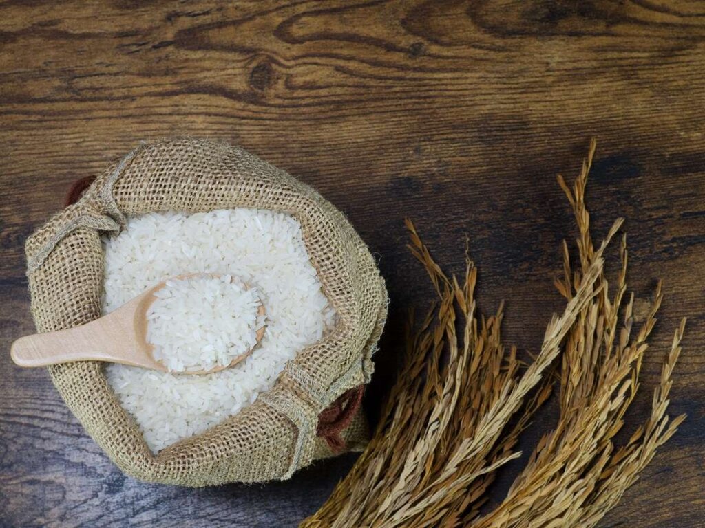 زكاة الفطر في تركيا