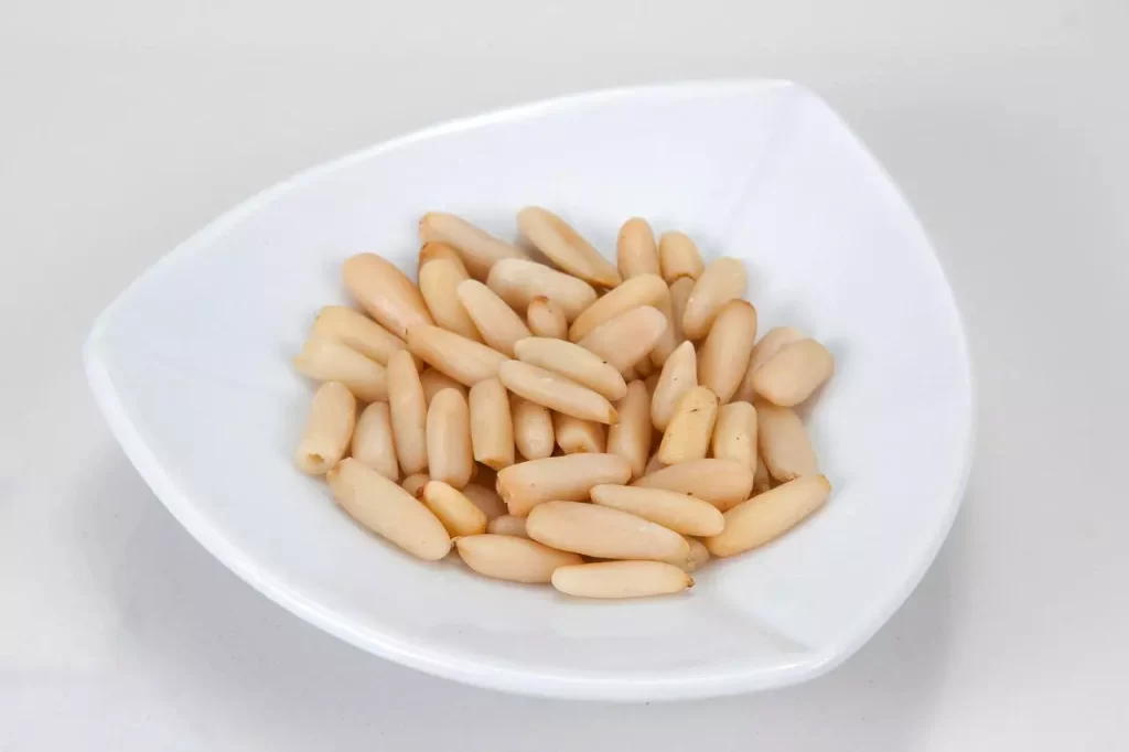 الصنوبر في تركيا