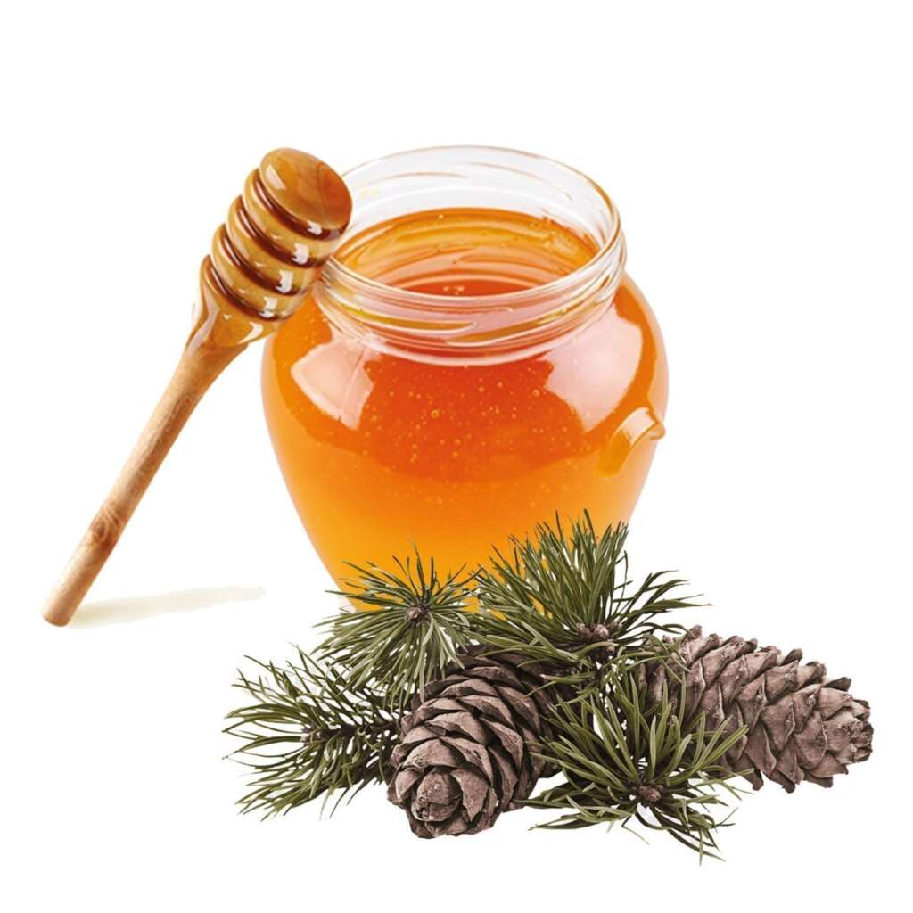 عسل الصنوبر في تركيا