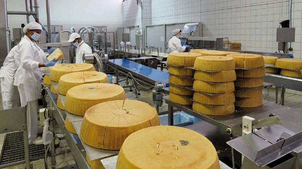 قوالب من الكيك - مصانع الكيك في تركيا