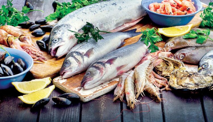 تشكلية منوعة من الأسماك - معامل الأسماك في تركيا