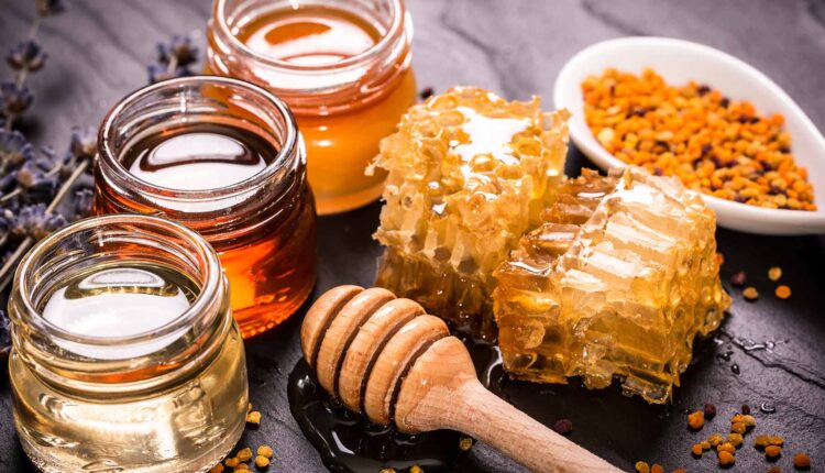 أنواع مختلفة من العسل - مصانع العسل في تركيا