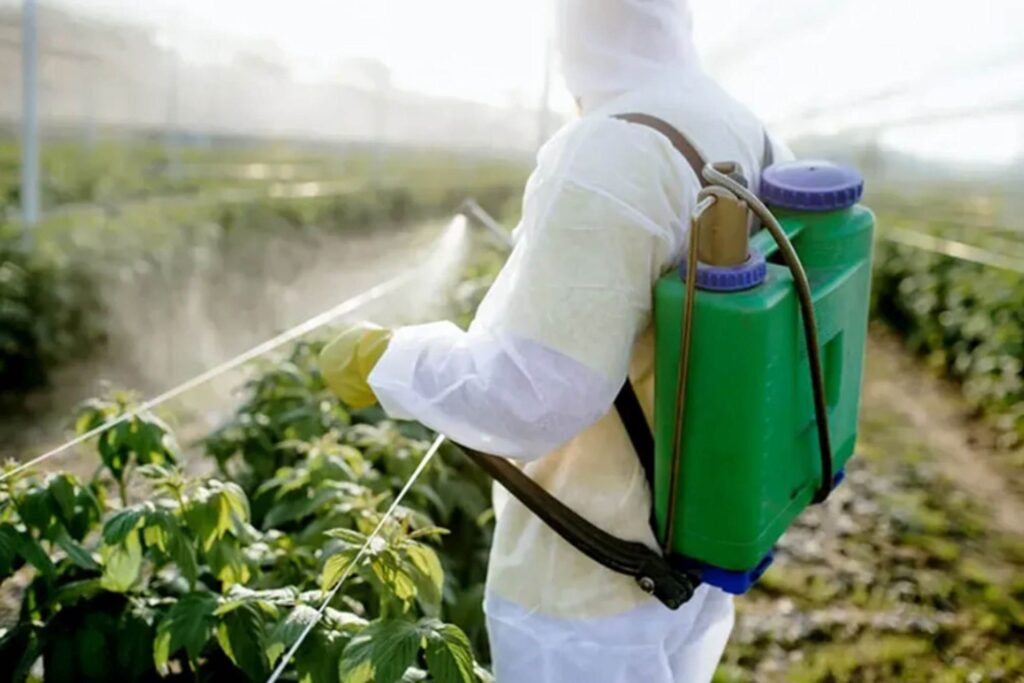 شخص يرش مبيد حشرات على أرض زراعية - مصانع المبيدات الحشرية في تركيا