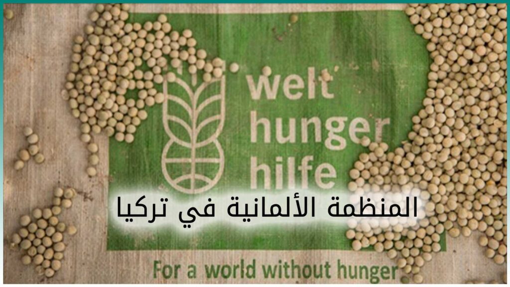 المنظمة الألمانية في تركيا - لوغو المنظمة الألمانية