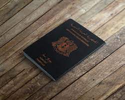 تعبيرية - استخراج جواز سفر سوري جديد